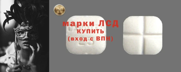 гидропоника Алексин