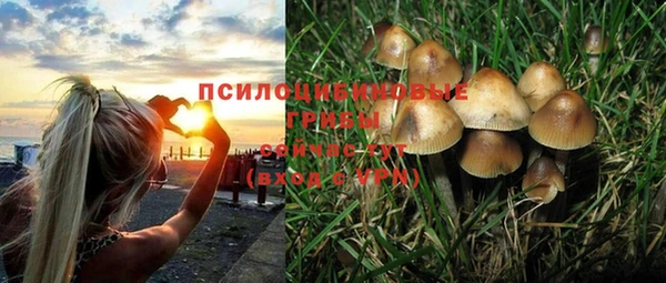 гашик Алзамай