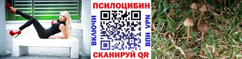 Галлюциногенные грибы ЛСД  где найти   Пыталово 