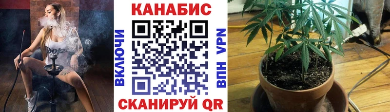 kraken ONION  Пыталово  Канабис гибрид 